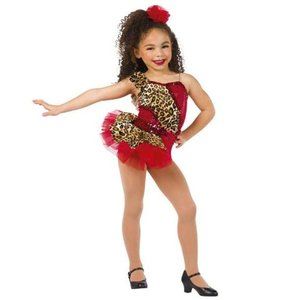 Dansco - Red Leopard / Cheetah print Dance Costume - MC